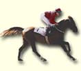 Galopp